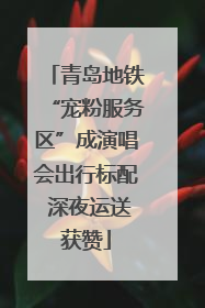 青岛地铁“宠粉服务区”成演唱会出行标配 深夜运送获赞
