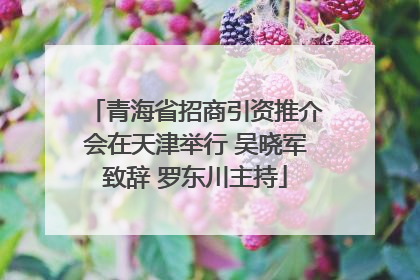 青海省招商引资推介会在天津举行 吴晓军致辞 罗东川主持