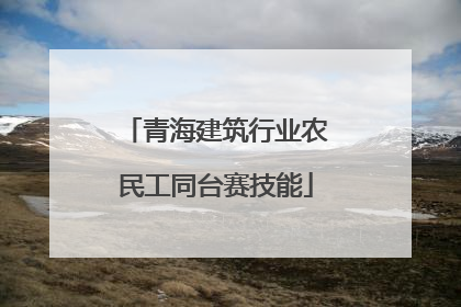 青海建筑行业农民工同台赛技能