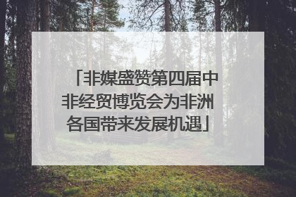 非媒盛赞第四届中非经贸博览会为非洲各国带来发展机遇