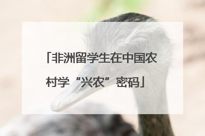 非洲留学生在中国农村学“兴农”密码