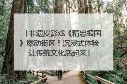 非遗皮影戏《精忠报国》燃动街区！沉浸式体验让传统文化活起来