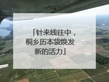 针来线往中，桐乡历本袋焕发新的活力