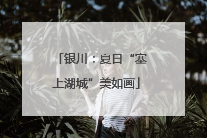 银川：夏日“塞上湖城”美如画
