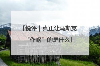 锐评｜真正让马斯克“作呕”的是什么