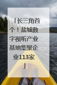 长三角首个！盐城数字视听产业基地集聚企业113家