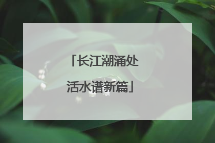 长江潮涌处 活水谱新篇