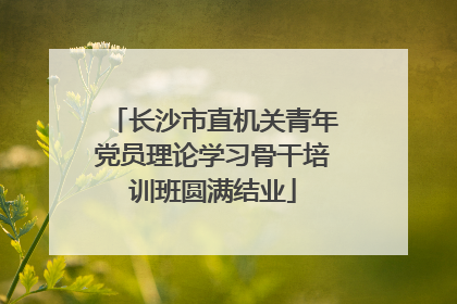 长沙市直机关青年党员理论学习骨干培训班圆满结业