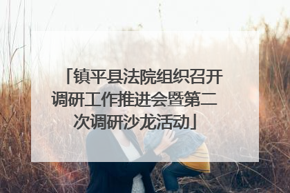 镇平县法院组织召开调研工作推进会暨第二次调研沙龙活动