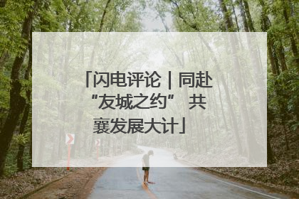 闪电评论｜同赴“友城之约” 共襄发展大计