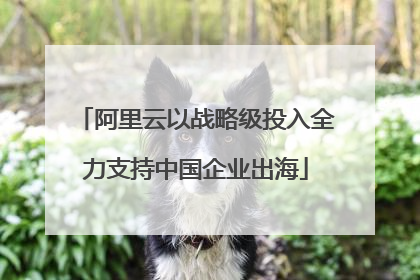 阿里云以战略级投入全力支持中国企业出海
