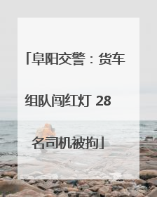 阜阳交警：货车组队闯红灯 28名司机被拘