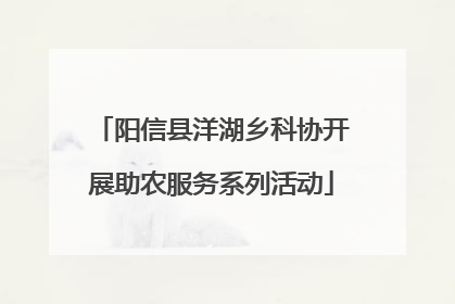 阳信县洋湖乡科协开展助农服务系列活动
