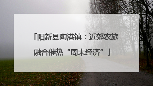 阳新县陶港镇：近郊农旅融合催热“周末经济”
