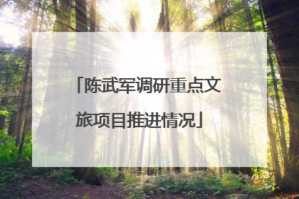 陈武军调研重点文旅项目推进情况