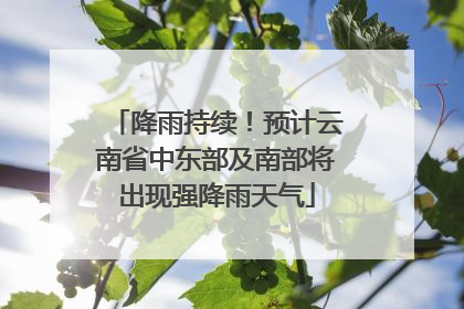 降雨持续！预计云南省中东部及南部将出现强降雨天气