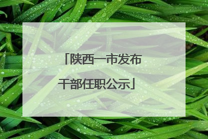 陕西一市发布干部任职公示
