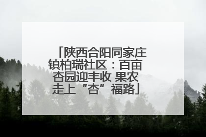 陕西合阳同家庄镇柏瑞社区：百亩杏园迎丰收 果农走上“杏”福路