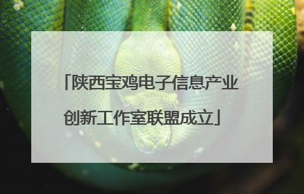 陕西宝鸡电子信息产业创新工作室联盟成立