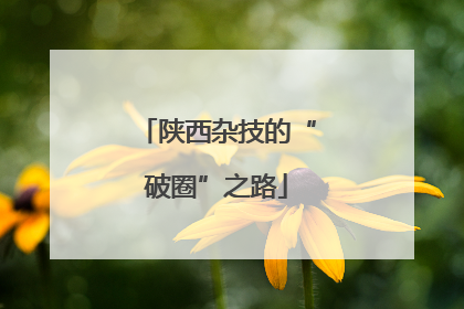 陕西杂技的“破圈”之路