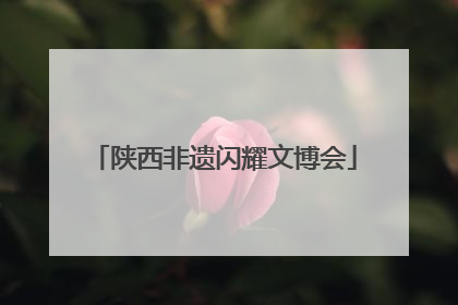 陕西非遗闪耀文博会
