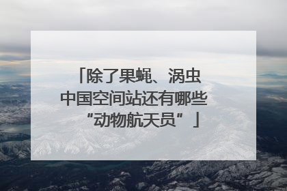 除了果蝇、涡虫 中国空间站还有哪些“动物航天员”