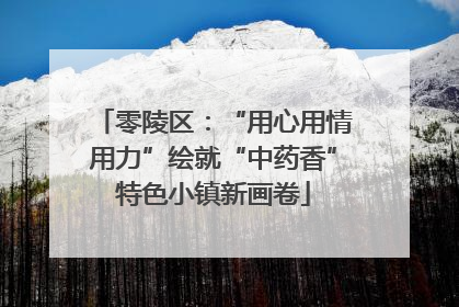零陵区：“用心用情用力”绘就“中药香”特色小镇新画卷