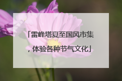 雷峰塔夏至国风市集，体验各种节气文化
