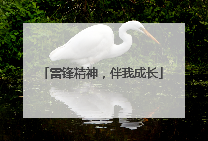 雷锋精神，伴我成长