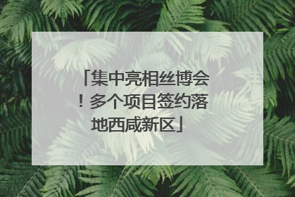 集中亮相丝博会！多个项目签约落地西咸新区