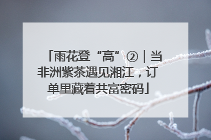 雨花登“高”②｜当非洲紫茶遇见湘江，订单里藏着共富密码
