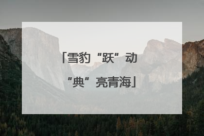 雪豹“跃”动 “典”亮青海