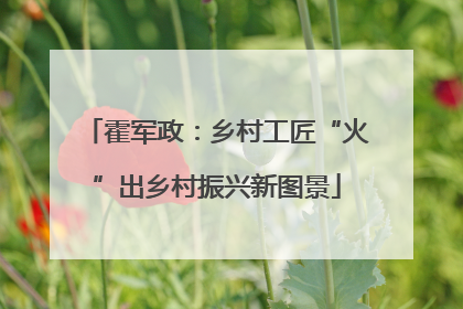 霍军政：乡村工匠“火”出乡村振兴新图景