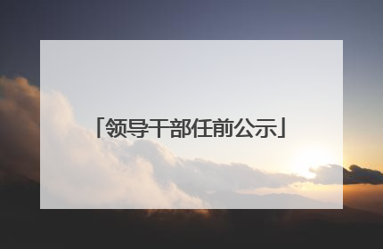 领导干部任前公示