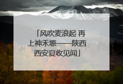 风吹麦浪起 再上神禾塬——陕西西安夏收见闻