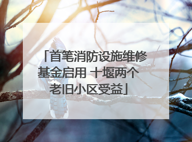 首笔消防设施维修基金启用 十堰两个老旧小区受益