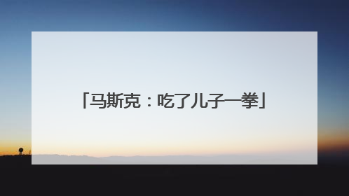马斯克：吃了儿子一拳