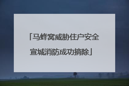 马蜂窝威胁住户安全 宣城消防成功摘除