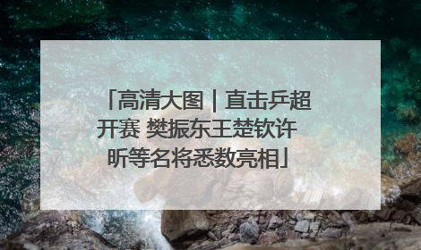 高清大图｜直击乒超开赛 樊振东王楚钦许昕等名将悉数亮相