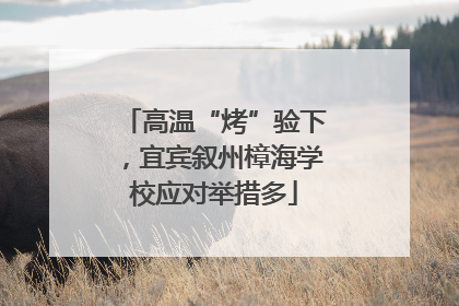 高温“烤”验下，宜宾叙州樟海学校应对举措多