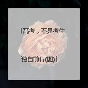 高考，不是考生独自前行(图)
