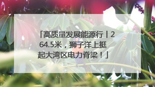 高质量发展能源行丨264.5米，狮子洋上挺起大湾区电力脊梁！