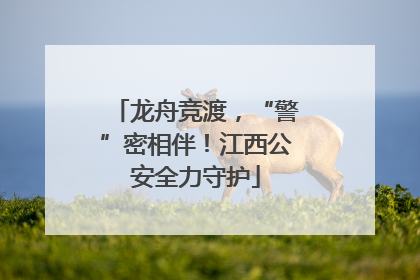 龙舟竞渡，“警”密相伴！江西公安全力守护