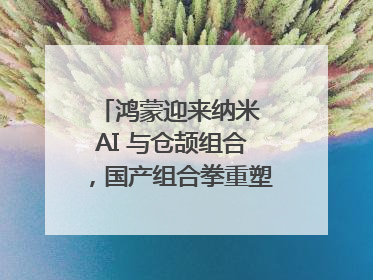 鸿蒙迎来纳米 AI 与仓颉组合，国产组合拳重塑AI搜索体验｜新经济观察