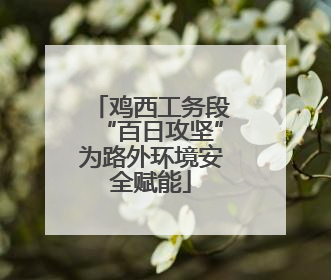 鸡西工务段“百日攻坚”为路外环境安全赋能