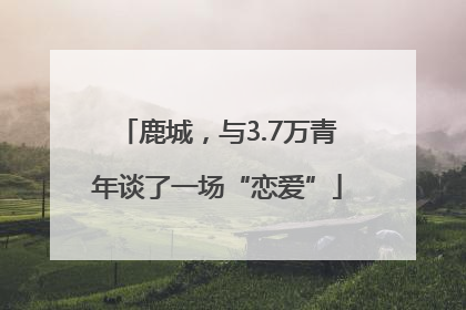 鹿城，与3.7万青年谈了一场“恋爱”