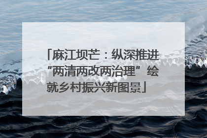 麻江坝芒：纵深推进“两清两改两治理”绘就乡村振兴新图景