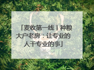 麦收第一线丨种粮大户老房：让专业的人干专业的事