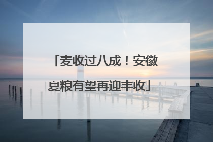麦收过八成！安徽夏粮有望再迎丰收