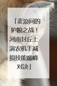 麦浪间的护粮之战！河南封丘上演农机手减损技能巅峰对决